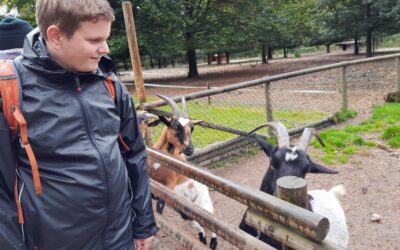 Ausflug der Männergruppe nach Poing in den Wildtierpark